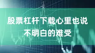 股票杠杆下载心里也说不明白的难受